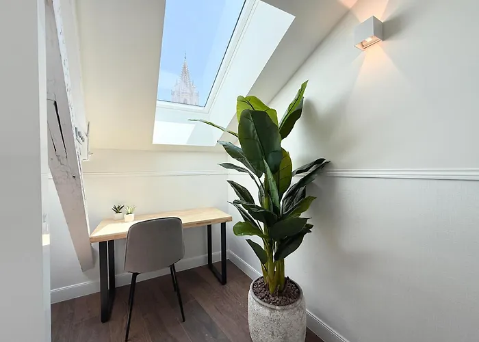 Mk77 Zuloaga * לאון